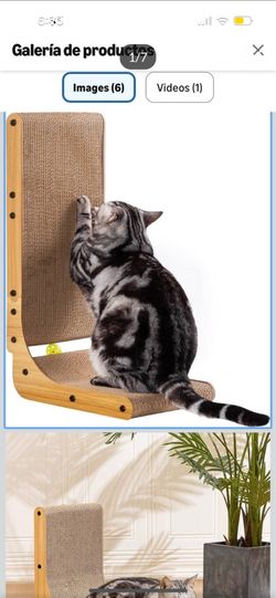 Cat scratcher 27in