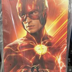 The Flash Hot Toys Special Edition ⚡️