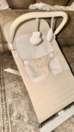 Baby Delight Alpine Deluxe Portable Bouncer
