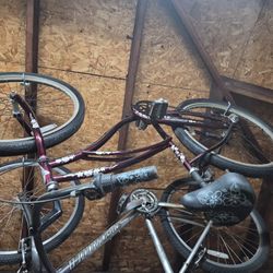 Electra Woman's Beach Cruiser 20$
