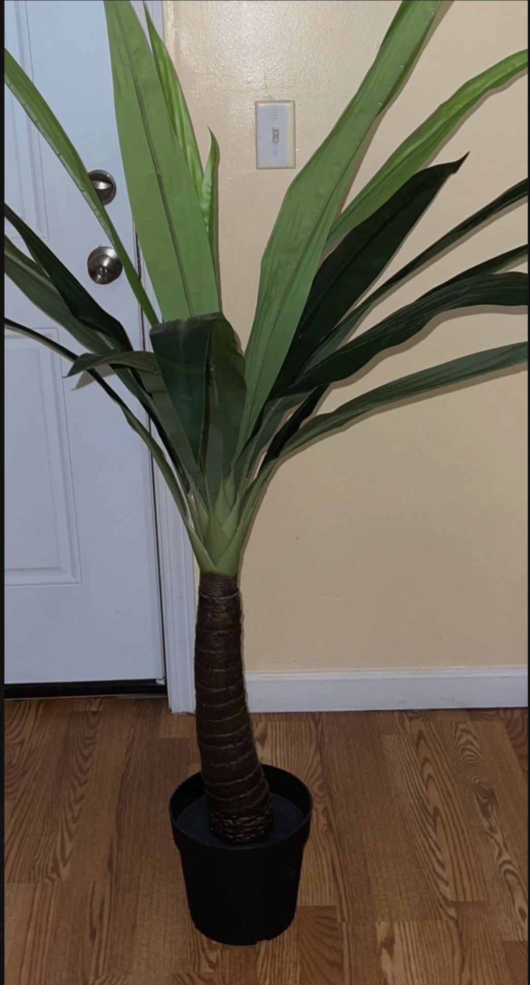 Large Artificial Palm Tree for Sale in Providence, RI OfferUp