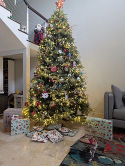 Balsam Hill Fraser Fir - 9' - LED pre-lit