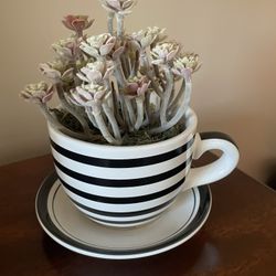 Tea Cup Decor
