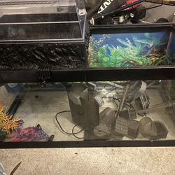 55 Gal Tank With & Accessories & Stand