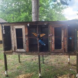 Chicken Coop 