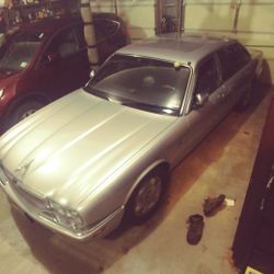 Jaguar Vp