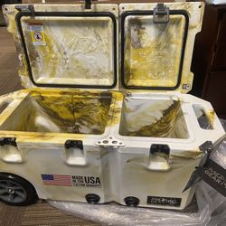 Cooler with Divider
