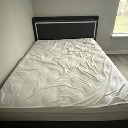 Queen Bed + Frame