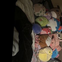 Squishmallows 