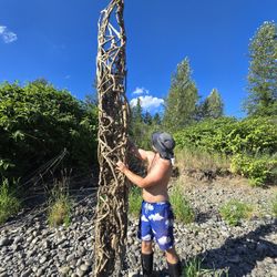 Unique vine structure 10+ft
