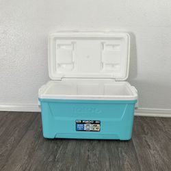 Cooler