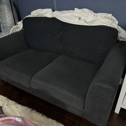Loveseat Sofa