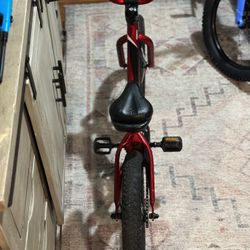 Riprock Coaster 16 Kids Bicycle 