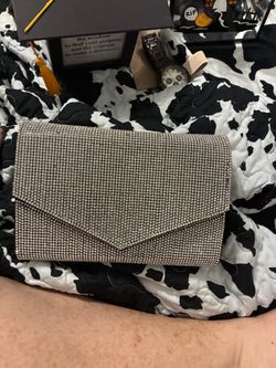 Shiny purse
