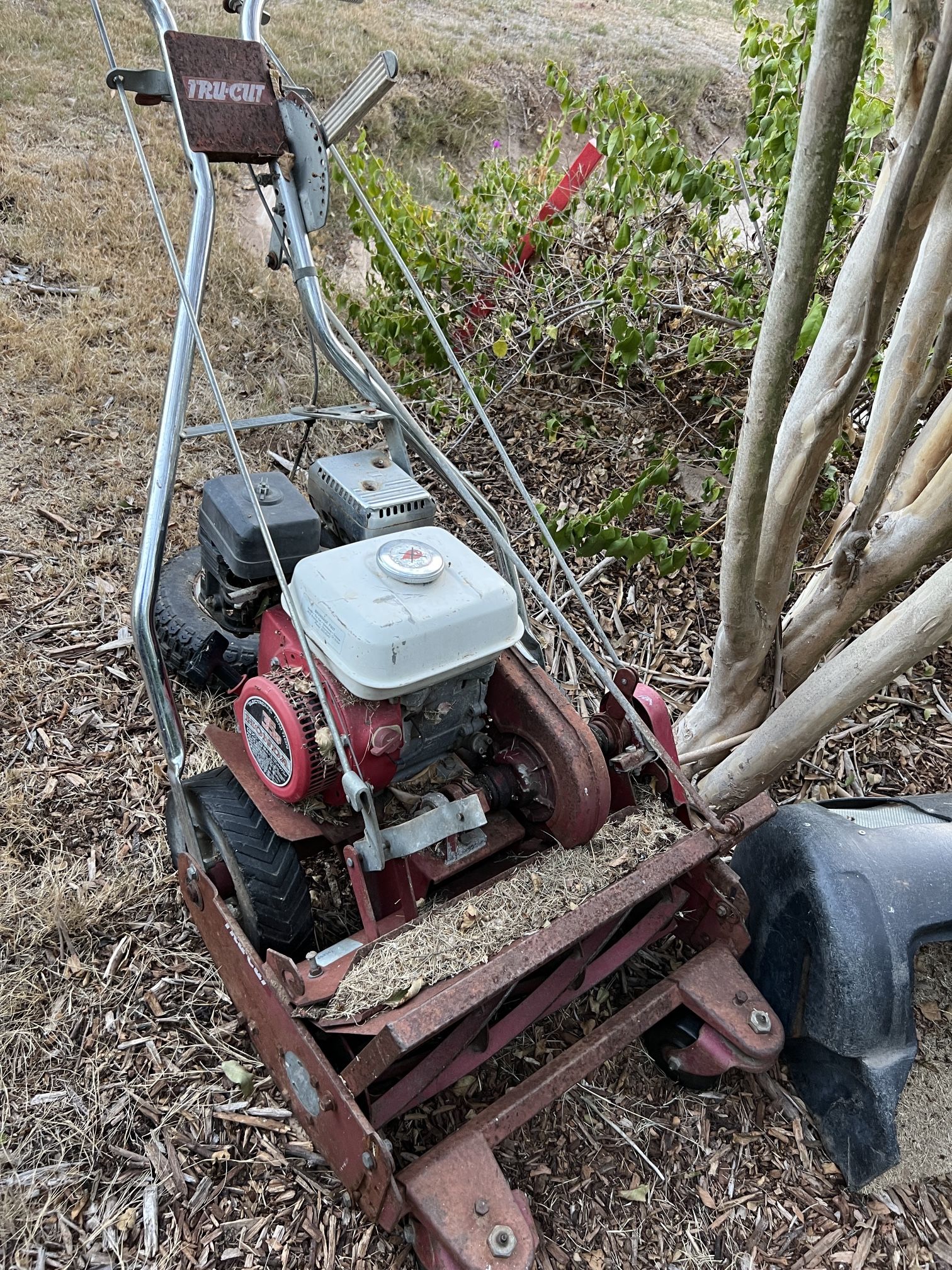 Trucut P20 Reel Mower For Turf Or Golf Greens Bermuda Grass