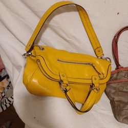 Nine West & Coach Purse