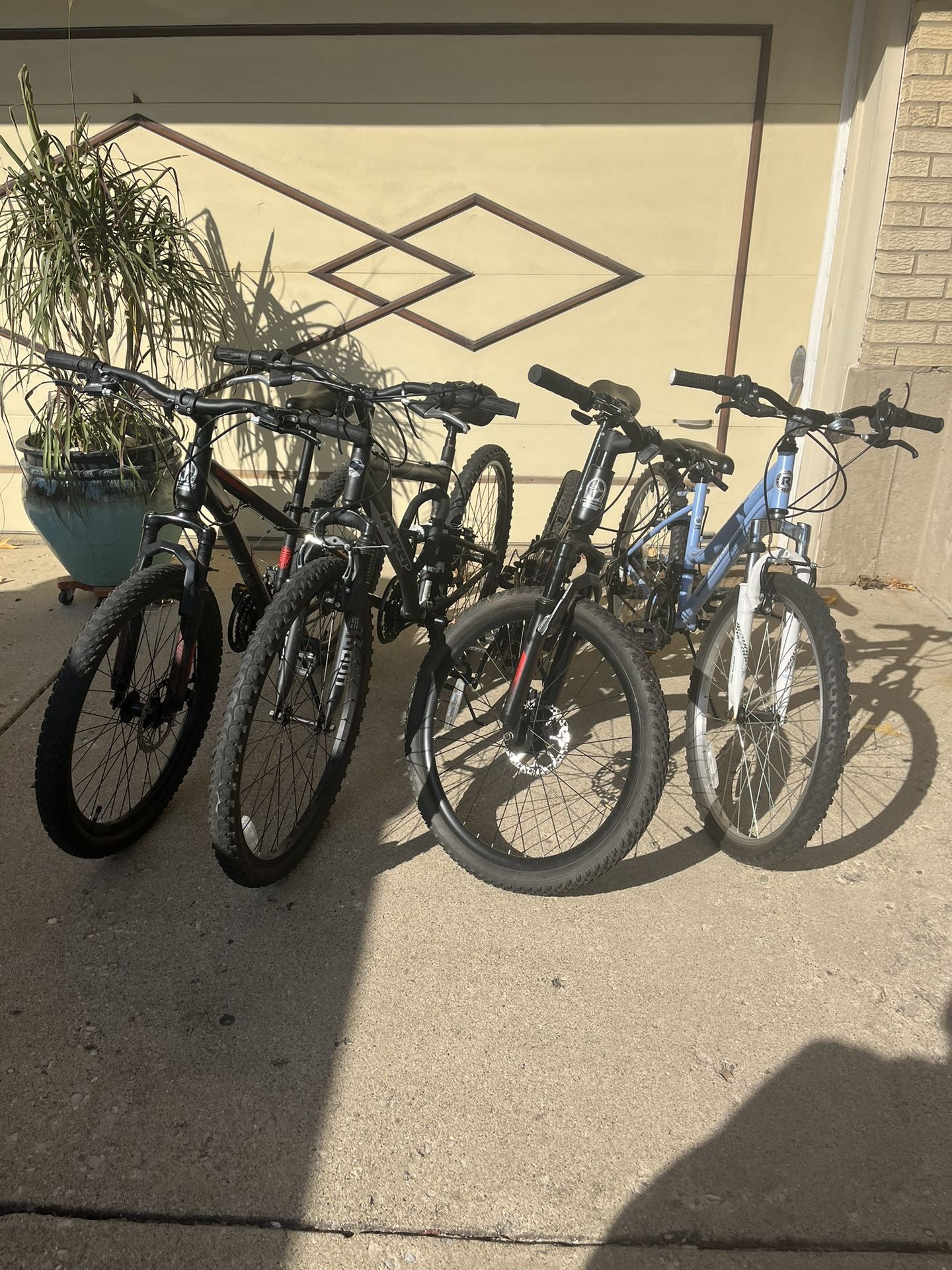 4 Bikes Family Pack