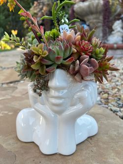 Mother’s Day Succulent arrangement