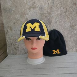 University Of Michigan Wolverines Signatures Navy Cap &Beanie (Verizon Wireless)