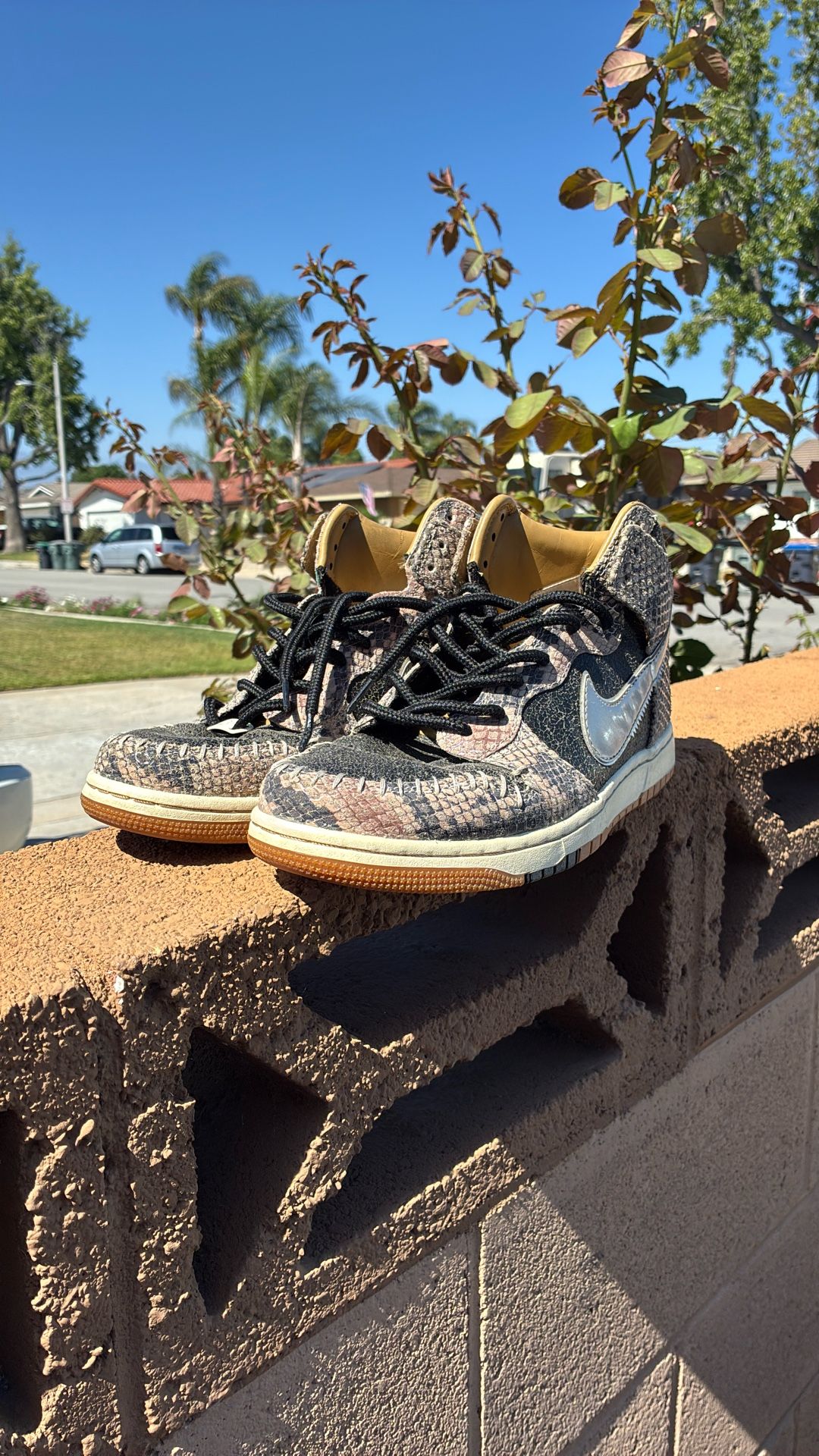 nike dunk