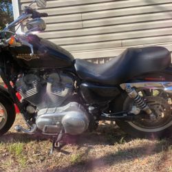 2007 Harley Davidson Sporster 883