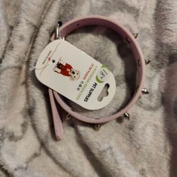 Dog Collar