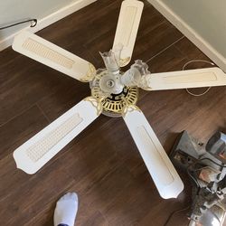 Cealing Fan 
