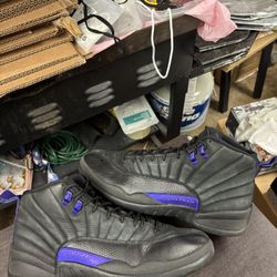 Air Jordan 12 Dark Black Concord 