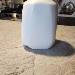 1 Gallon Goat Milk 