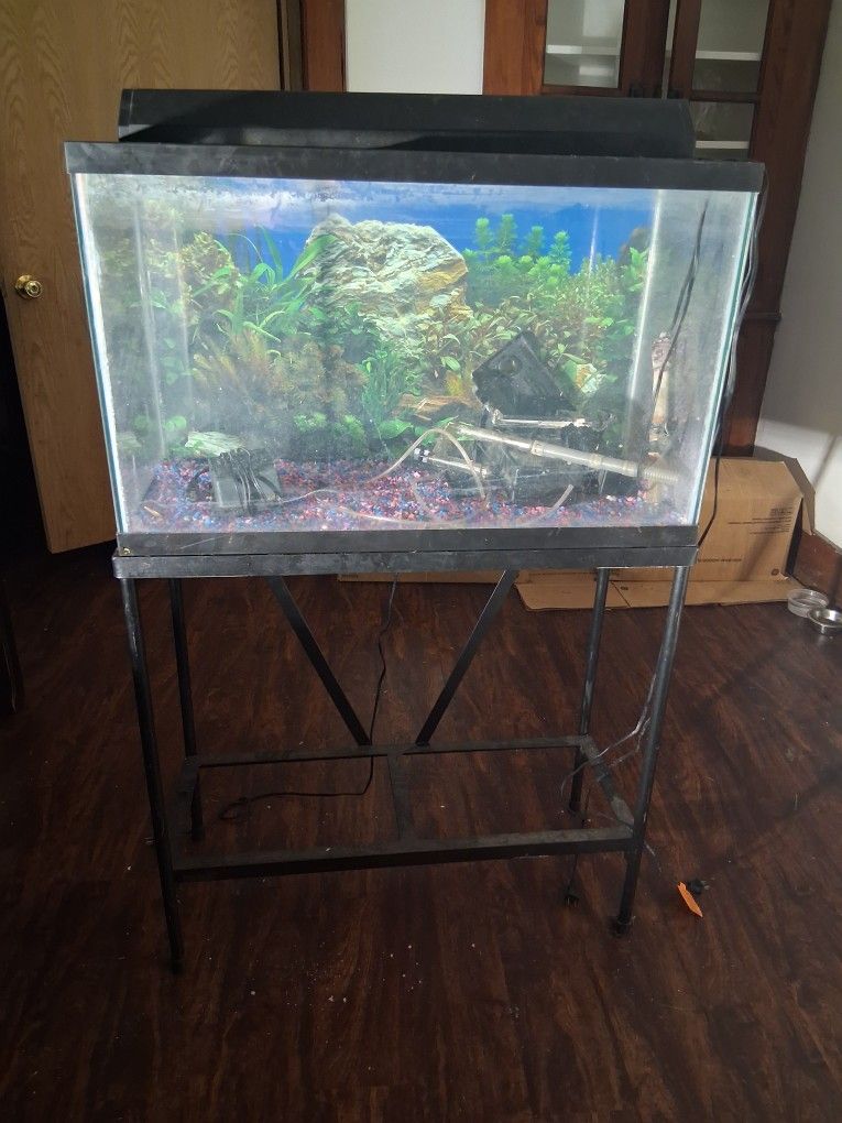 Aquarium With Stand