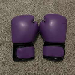 Boxing Gloves (10 oz)