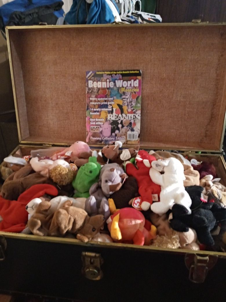 Over 100 Collectible Beanie Babies