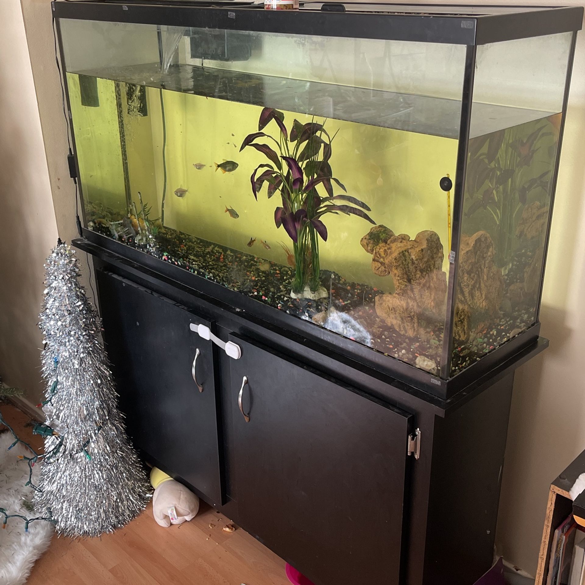 55gal Tank , Stand , Pebbles , Toys , Filter 