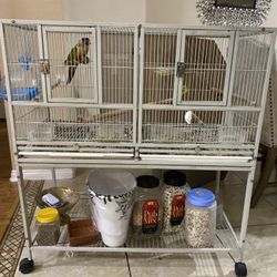 Bird Cages 