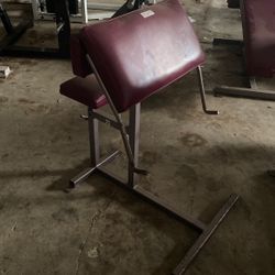 Arm Curl Bench