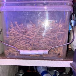 Box Of 10x3” Treated Wood And Fence Screws