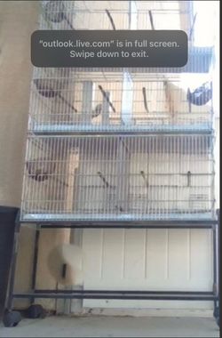 Canary breeding bird cage