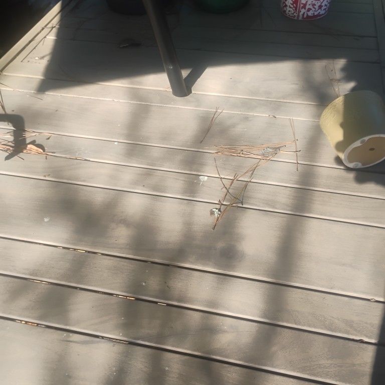 patio furniture and umbrella