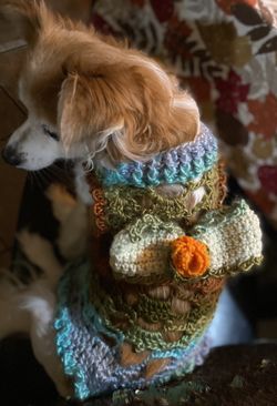 Princess dog/cat sweater crocheted size M