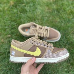 Nike Dunk Low Undefeated Cateen
