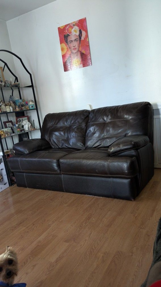 Brown Leather Couch