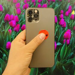 iPhone 12 Pro 256gb Unlocked 