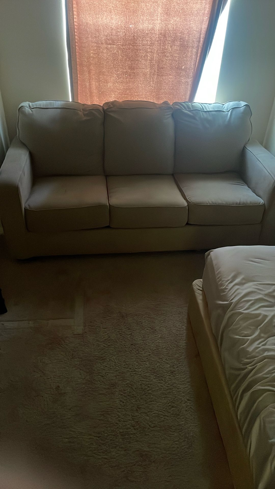 Clean Hideabed Couch