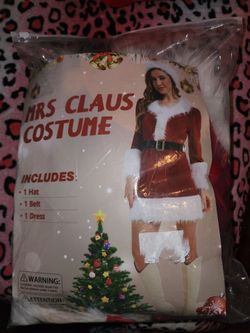 Disfras de santa