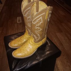 Anderson Bean Osterich