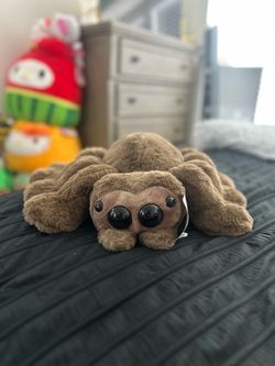 Build a bear spider