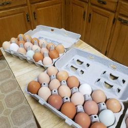 Farm Fresh Eggs