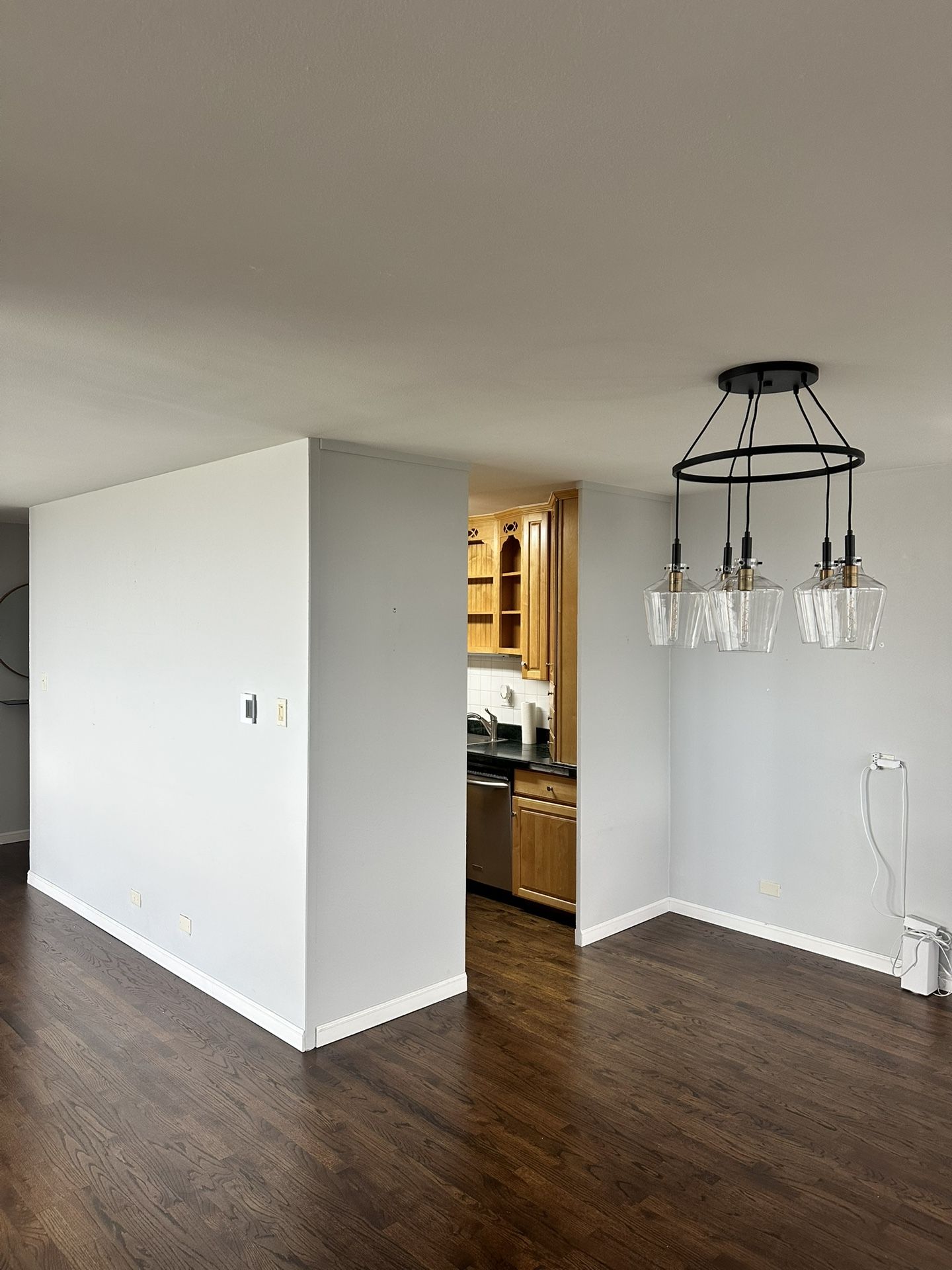 5 Clear Glass Globe Pendant Ceiling Fixture