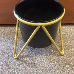 New Planter In Gold Holder