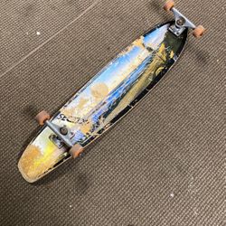 Bendy Fiberglass Sector 9 Skateboard Longboard Cruiser